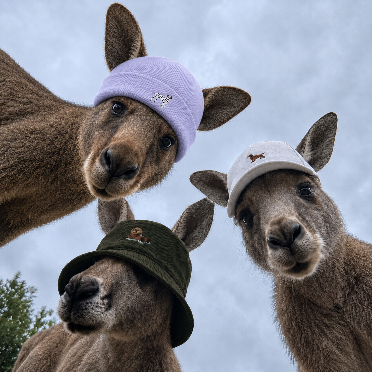 Kopfbedeckungen mit Spirit Animal