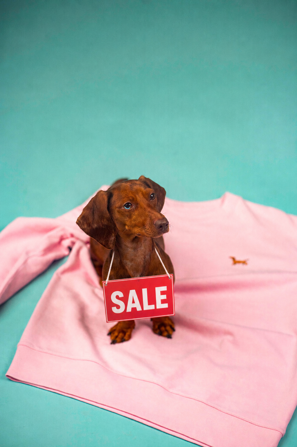 Sale mit vollem HEYTOKI-Gefühl